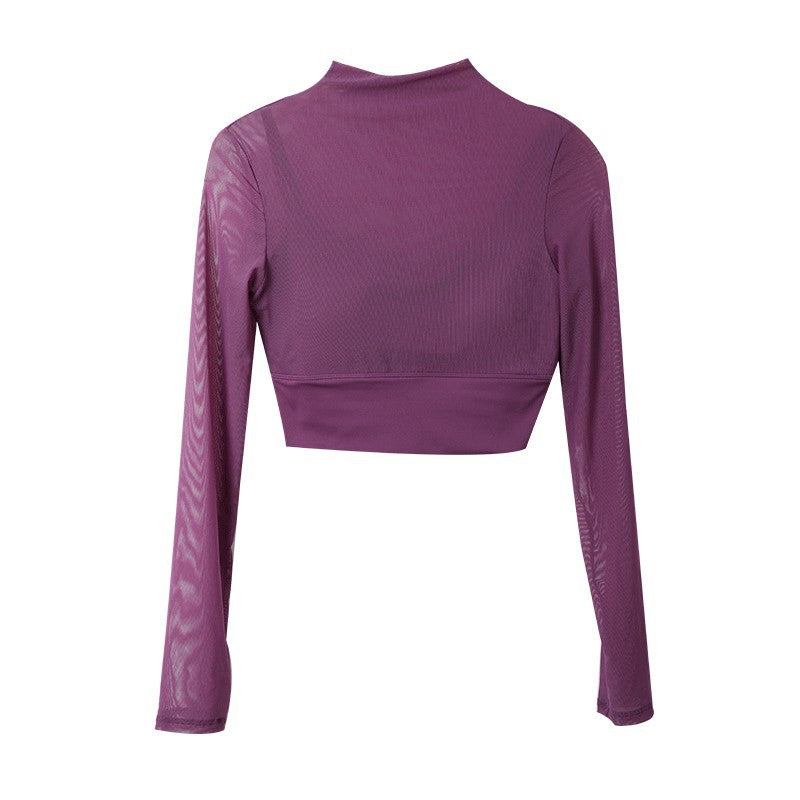 Fixed Chest Mesh Long Sleeve Top
