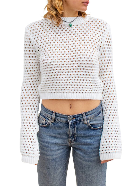 Openwork Round Neck Long Sleeve Crop Knit Top